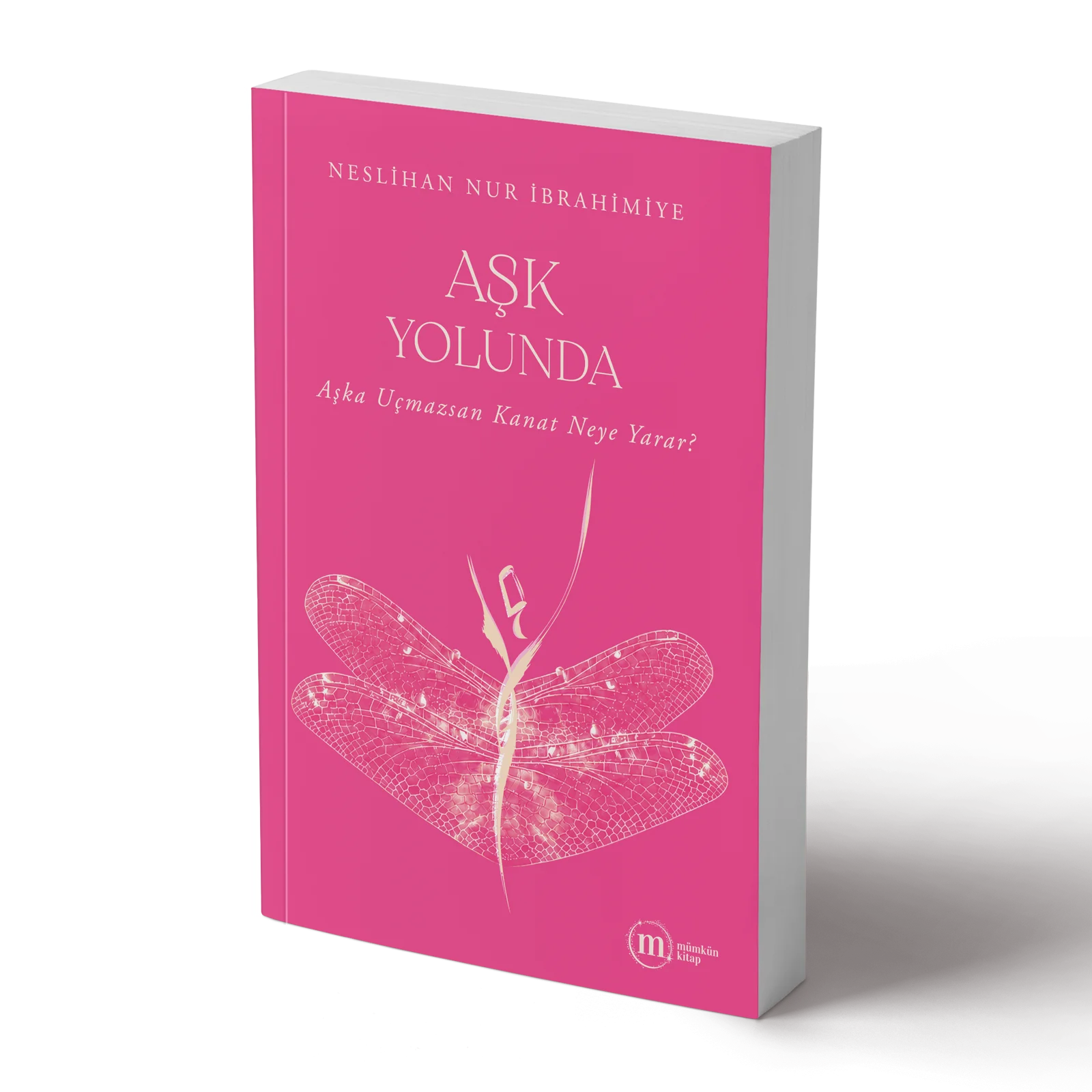Aşk Yolunda - Neslihan Nur İbrahimiye