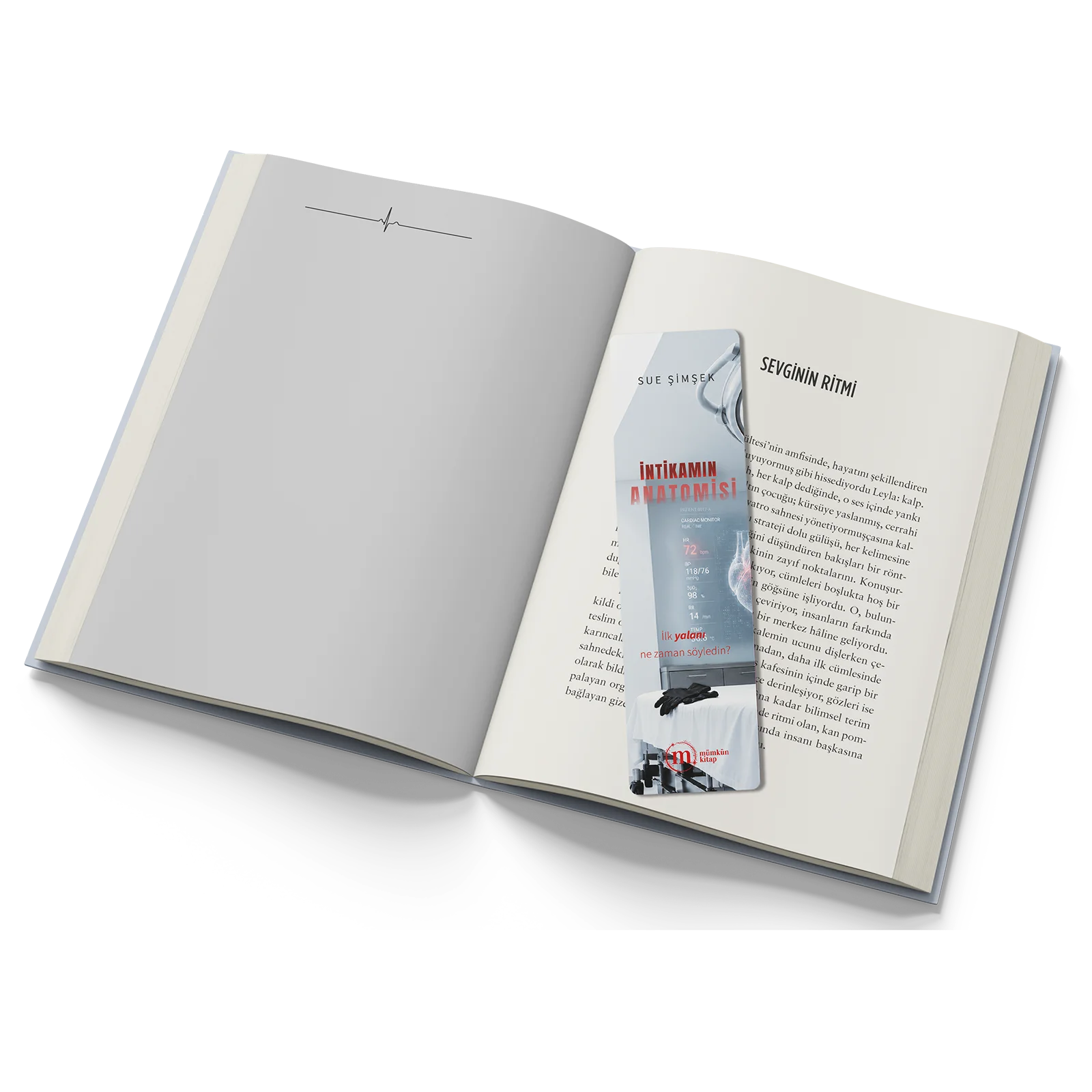 İntikamın Anatomisi – Sue Şimşek
